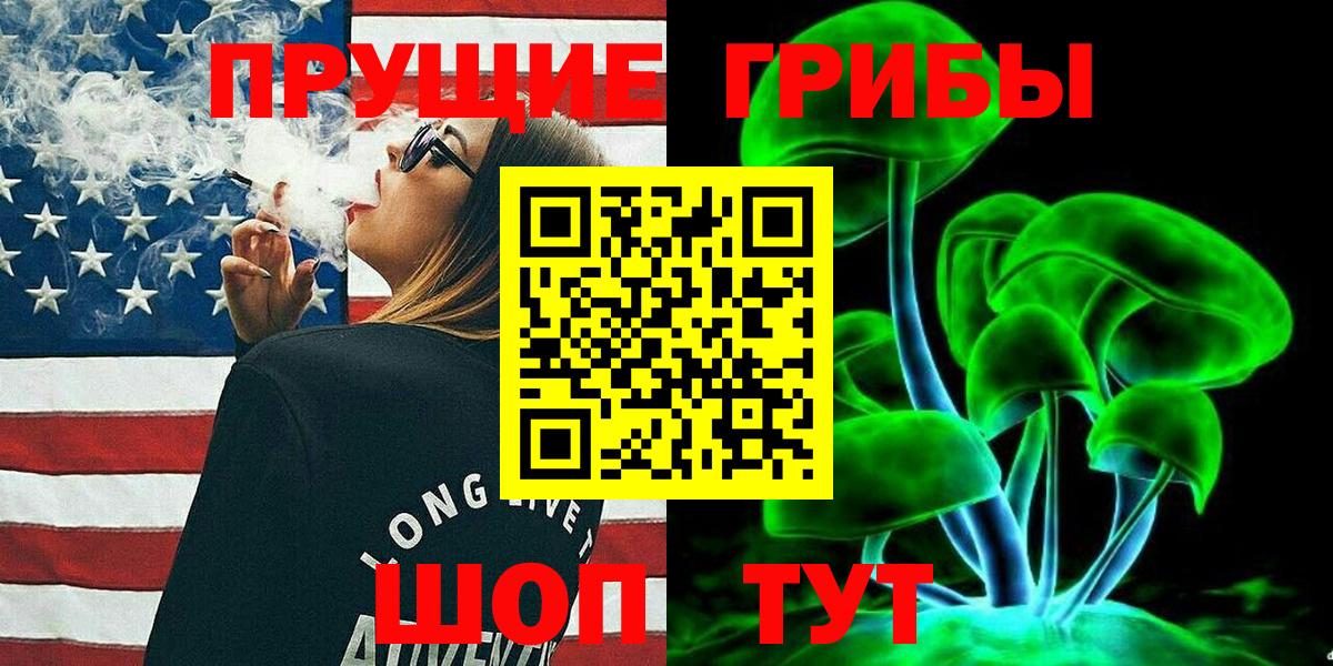 Галлюциногенные грибы Psilocybe Чапаевск